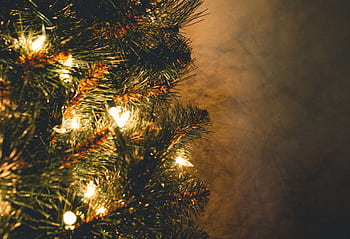 Warm festive close-up of a Christmas tree adorned with glowing lights, perfect for holiday themes. HD wallpaper