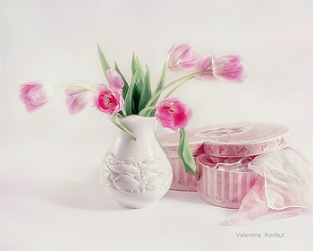 Delicate and tender, tenderness, softness, soft, vase, veil, tulips, gift, beauty, still life, leaves, delicate, box, petals, flowers, heart HD wallpaper