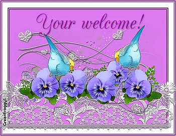 YOUR WELCOME, YOUR, COMMENT, CARD, WELCOME HD wallpaper