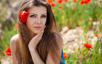 * Beauty *, field, flower, nature, flowers, beauty HD wallpaper