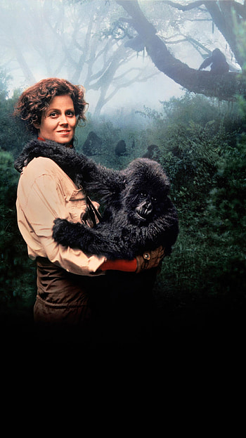 Gorillas in the Mist (2022) movie HD phone wallpaper