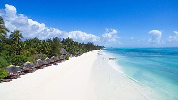 Kilimanjaro expedition, Zanzibar insight, African wildlife, Adventurer's dream HD wallpaper