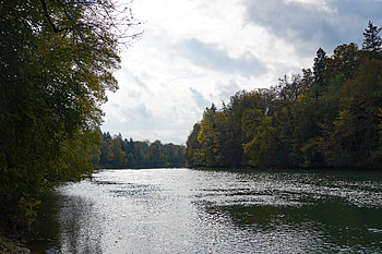 Nature, Water, Trees, Lake, Branches HD wallpaper