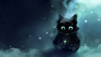 Cats HD wallpaper
