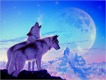Wolves, wolf, moon, art, painting HD wallpaper