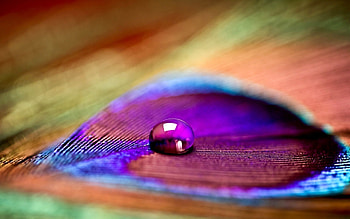 Background, Drops HD wallpaper