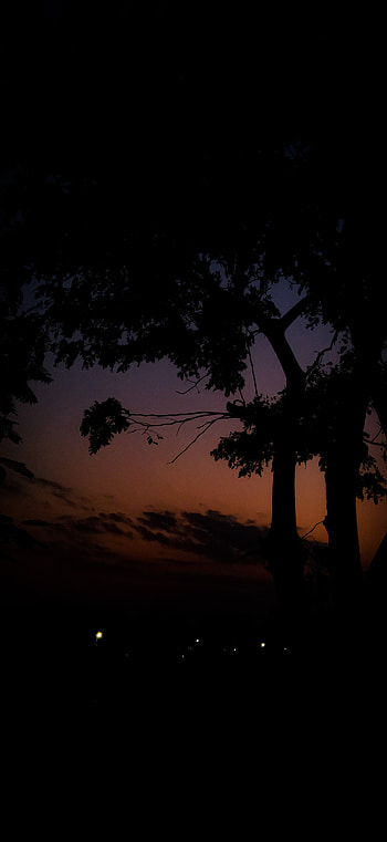 Evening is love., atmosphere, sky HD phone wallpaper
