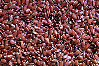 Flax Seeds, Horse food ingredient, Muenster milling company HD wallpaper