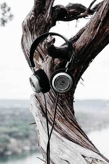 Music, Heads, Wood, Tree, Bark, Trunk HD phone wallpaper