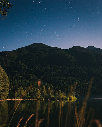 Nature, Trees, Mountain, Lake, Forest, Starry Sky HD phone wallpaper