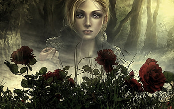 Red Roos, rose, fantasy, red, flower HD wallpaper