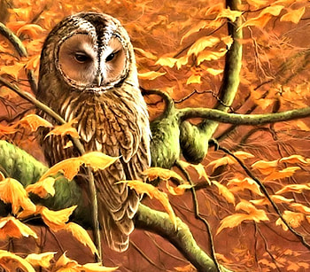 Owl in Autumn, Painting, Autumn, Owl, Tree HD wallpaper