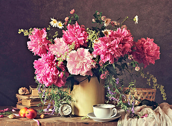 Still Life, Flower, Vase, pretty HD wallpaper