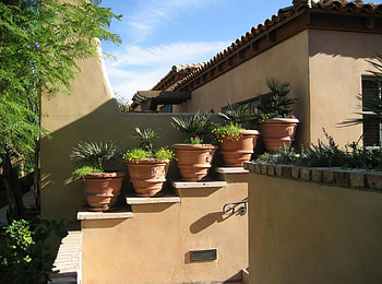 Potted Plants, arizona, plants, steps, desert, wall, potted, az HD wallpaper