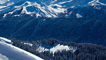 Nature, Trees, Mountains, Vertex, Top HD wallpaper