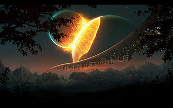 Top Pics Collection: HD wallpaper