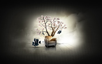 Art, Fishes, Sakura, Wood, Tree, Garden, Armchair, Fish, Exciting, Dilshan Arukatti HD wallpaper