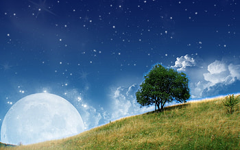 Nature view, night, moon, colors, , nature, relax, tree HD wallpaper