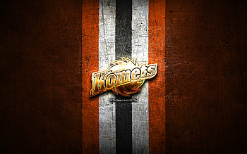 Fort Wayne Komets, golden logo, ECHL, orange metal background, american hockey team, Fort Wayne Komets logo, hockey HD wallpaper