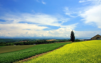 Hokkaido Landscape 33 - HQ, landscape, , hq, hokkaido HD wallpaper