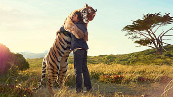 Miscellanea, Miscellaneous, Tiger, Guy, Embrace, Situation, Meeting HD wallpaper