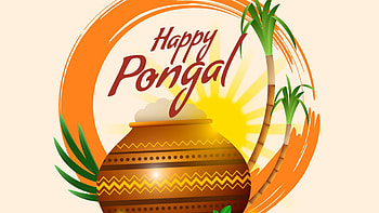 Sugarcanes Clay Pot Sun Background Happy Pongal Pongal HD wallpaper