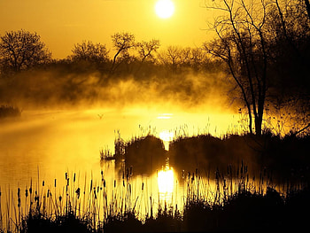 Landscape, Rivers, Sunset, Sun HD wallpaper
