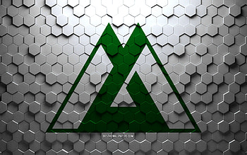 Flag of Toyama, honeycomb art, Toyama hexagons flag, Toyama, 3d hexagons art, Toyama flag HD wallpaper