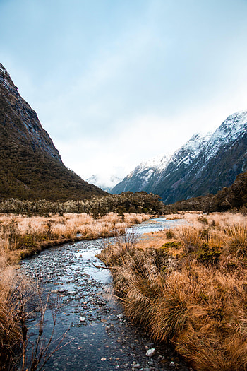 Nature, Rivers, Mountains, Snow, Bush, Snow Covered, Snowbound HD phone wallpaper