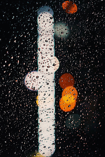 Rain, Drops, Lights, Macro, Wet, Glass, Boquet, Bokeh HD phone wallpaper
