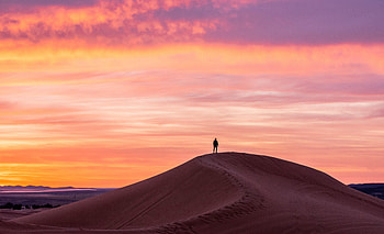 Desert, Silhouette, Miscellanea, Miscellaneous, Loneliness, Alone, Lonely HD wallpaper