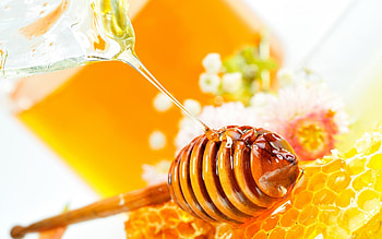 Delicious honey, , Sweet and golden, Eye-catching background HD wallpaper