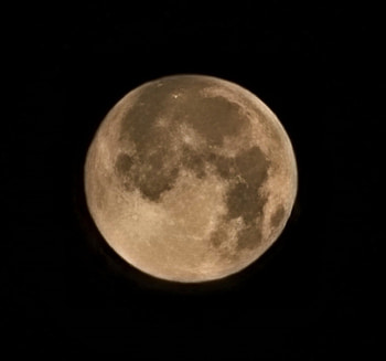 Yellow Moon, Earth Moon, Yellow, Moon HD wallpaper