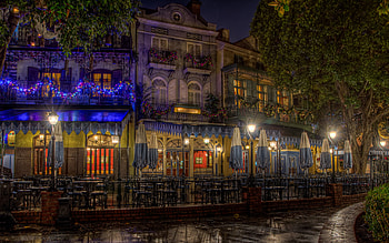Disney, , Disneyland, Christmas, Dark, Light, Night, Street Light, Tree HD wallpaper