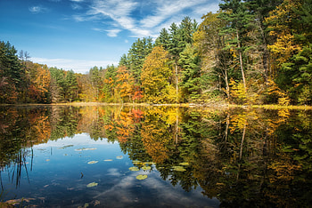 Nature, Trees, Autumn, Lake, Reflection, Forest HD wallpaper