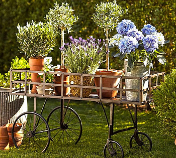 *Flower cart*, plants, green, garden, r, flowers, grass, cart, pots HD wallpaper