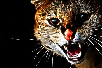 Abstract, Cat, Aggression, Grin, Muzzle HD wallpaper