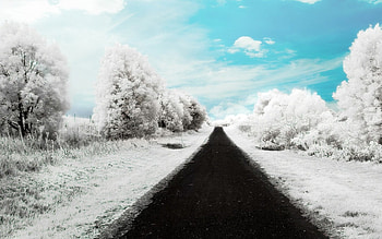 LONG WINTER ROAD, others, nature HD wallpaper