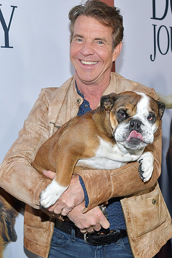 Dennis Quaid, Dog Peaches, Promoting, A Dog's Journey HD phone wallpaper