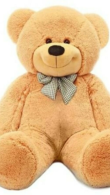 Teddy Bear Live, Cute Toy HD phone wallpaper