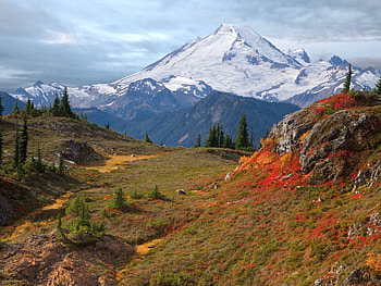Nature, Mountains, Autumn, Fog, Vegetation, Ate HD wallpaper