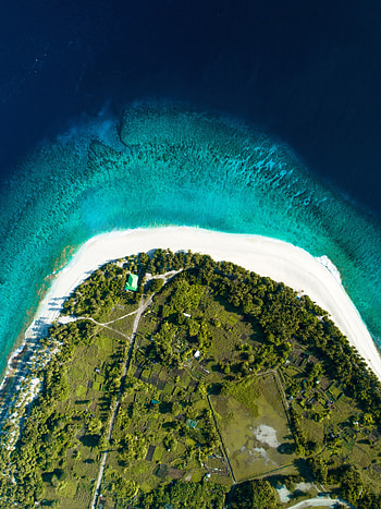 Nature, View From Above, Ocean, Island, Maldives HD phone wallpaper