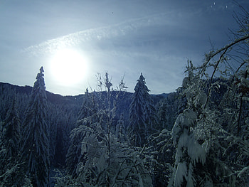 sun, snow, trees, mountains, trees, mountains, sun, snow HD wallpaper
