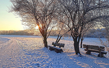 Winter Landscape, road, winter, snow, benches, trees, sunbeams HD wallpaper