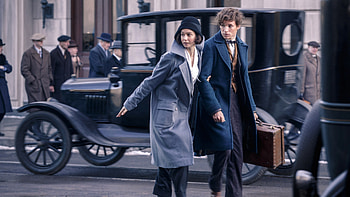 David Yates movies, Best movies and shows, Director's top picks, Expert opinion HD wallpaper