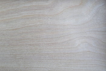 Close-up of a light wood texture with natural grain, perfect for backgrounds. HD wallpaper