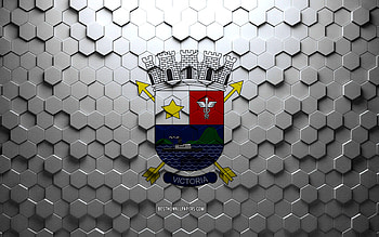 Flag of Vitoria, honeycomb art, Vitoria hexagons flag, Vitoria 3d hexagons art, Vitoria flag HD wallpaper
