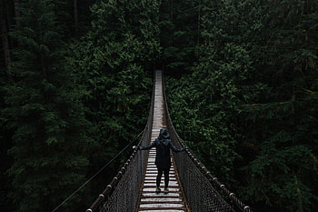 Nature, Trees, Bridge, Suspension, Hanging, Human, Person, Loneliness HD wallpaper