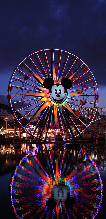 Disney, Disneyland, , Amusement Park, Ferris Wheel, Reflection, Roller Coaster, California, Light, Night HD phone wallpaper