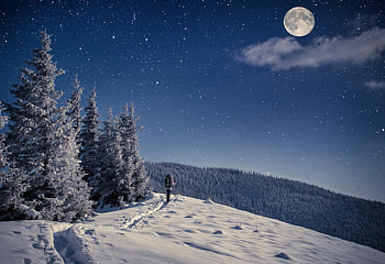 Travel In Winter Mountains, winter, person, man, cold, stars, fir, track, trail, pine, moon, clouds, trees, sky, mountains HD wallpaper